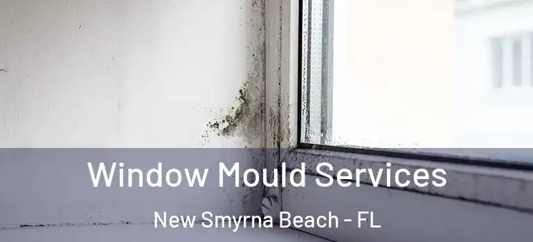  Window Mould Services New Smyrna Beach - FL